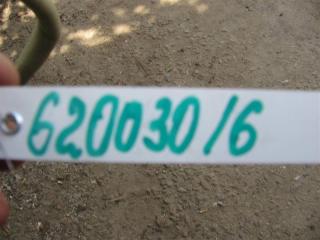 Кнопка открывания багажника наружная ALTIMA L33 12-18 L33