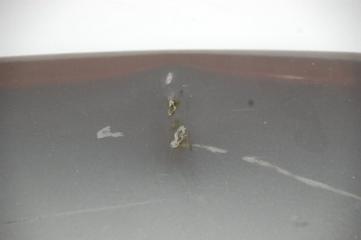 Капот INFINITI G35 03-07