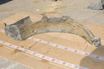 Подкрылок передний правый SUNNY N14 90-96