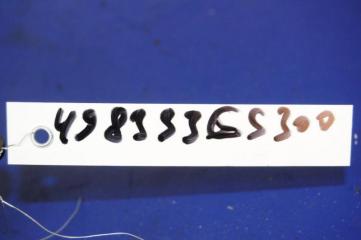 Крышка блока предохранителей GS350 GS300 05-11