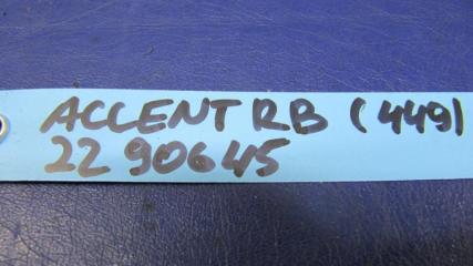 Петля двери ACCENT RB 10-