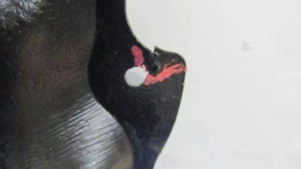 Защита двигателя COROLLA 150 06-13