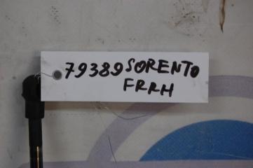 Амортизатор капота SORENTO BL 02-09