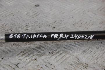 Амортизатор капота TRIBECA B10 07-13 2008 Внедорожник 3.6