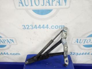 Петля крышки багажника правая G25/G35/G37/Q40 06-14