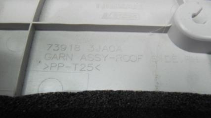 Накладка на стойку кузова QX60/JX35 12-20