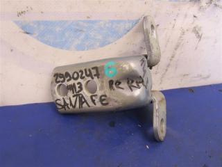 Петля двери нижняя задняя левая HYUNDAI SANTA FE (CM) 05-12 2008