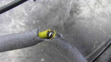 Стеклоподъемник передний правый FUSION 14- 2019 Седан C15HDTX