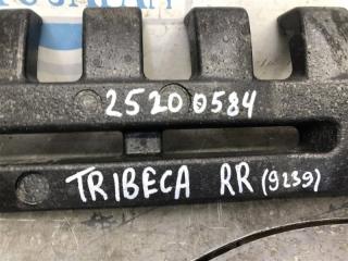 Наполнитель бампера задний TRIBECA B10 07-13 2007 Внедорожник 3.6