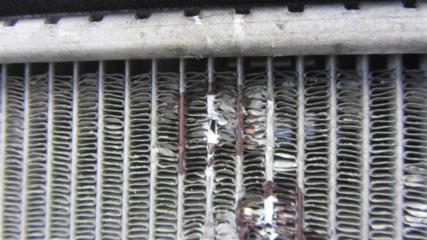 Радиатор основной TLX 14-17 2016 Седан 3.5