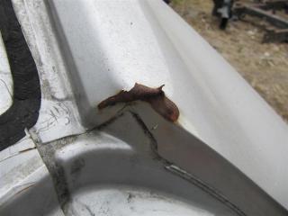 Четверть кузова задняя правый ILX 12-16 2013 Седан 1.5 HYBRID