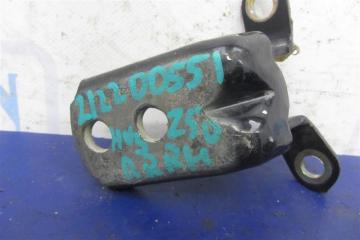 Петля двери нижняя задняя правая MURANO Z50 02-07 2005 Внедорожник 3.5