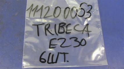 Форсунка топливная TRIBECA B9 05-07 EZ30