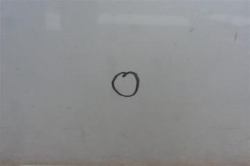 Дверь задняя правая AVALON 05-12 2005 GSX30 3.5 2GR-FE