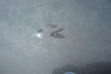 Дверь задняя правая FORESTER 12-19 2015 Внедорожник 2.5