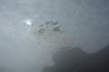 Дверь задняя правая FORESTER 12-19 2015 Внедорожник 2.5