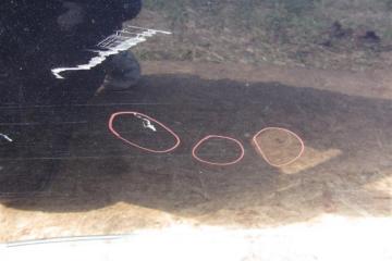 Дверь задняя правая PRIUS - 30 09-17 2013 ZVW30 1.8 2ZRFXE