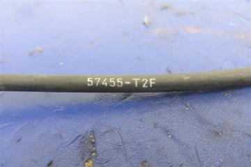 Датчик ABS передний левый TLX 14-17