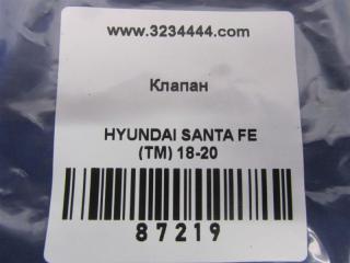 Клапан кондиционера SANTA FE (TM) 18-23