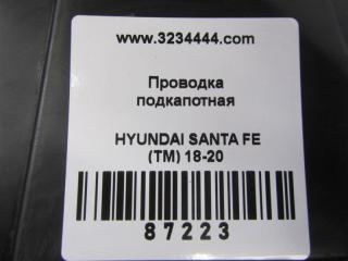 Проводка подкапотная SANTA FE (TM) 18-23