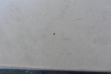 Дверь передняя правая SENTRA (B16) 06–12