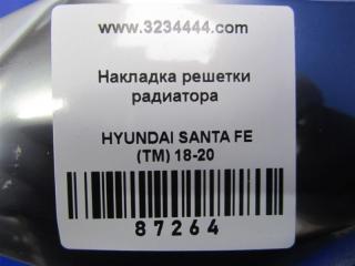 Накладка (молдинг) решетки радиатора SANTA FE (TM) 18-23