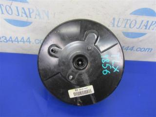 Вакуумный усилитель тормозов TLX 14-17 2016 Седан 3.5