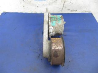 Натяжитель ремня генератора G25/G35/G37/Q40 06-14 2008 Седан 3.5 VQ35HR