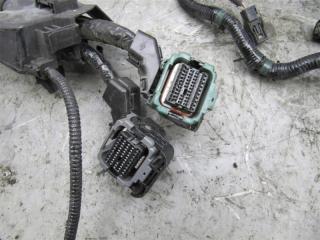 Проводка подкапотная TLX 14-17 2015 Седан 2.4