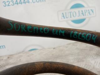 Пружина задней подвески SORENTO UM 14- 2016 Внедорожник 2.4