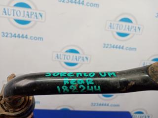 Стабилизатор задний SORENTO UM 14- 2016 Внедорожник 2.4