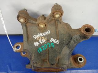 Цапфа задняя правая SORENTO UM 14- 2016 Внедорожник 2.4