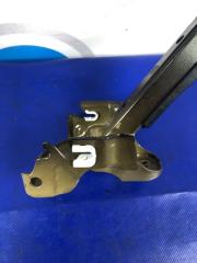 Петля крышки багажника правая ACURA TLX 14-17 Седан 2.4
