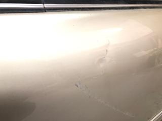 Дверь передняя левая MAXIMA A32 94-99 A32