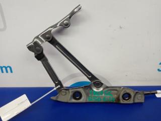 Петля крышки багажника задняя левая Q50 15-20 Седан