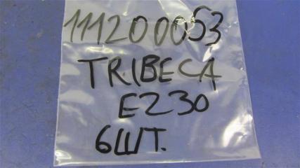 Форсунка топливная TRIBECA B9 05-07