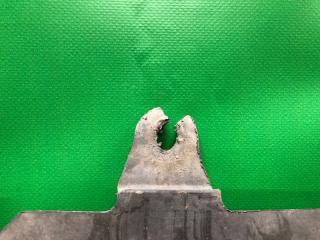 Защита двигателя CX-7 06-12 2009 Внедорожник 2.3