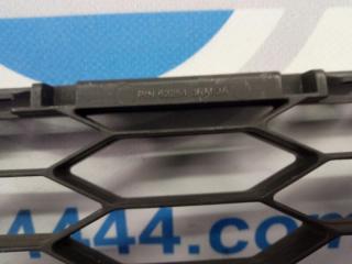 Решетка переднего бампера передняя SENTRA B17 12-21