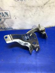 Петля крышки багажника левая ACURA RDX 19- 2019