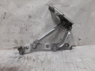 Петля крышки багажника левая MITSUBISHI GALANT 03-12 2009