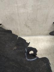 Подкрылок задний левый FUSION 14- 2014 CD4 C25HDEX