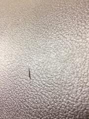 Торпедо FOCUS 10-18 2014 BK 2.0 XQDA