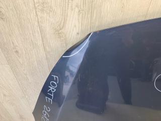 Капот FORTE YD 12- 2015 YD 1.8 G4NB