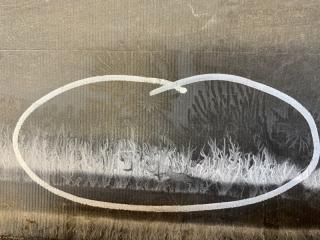 Бампер задний задний RX350/450 15-22 2015-2019