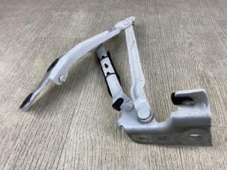 Петля крышки багажника правая BEETLE 11-19 2012 5C1 2.5 CBUA