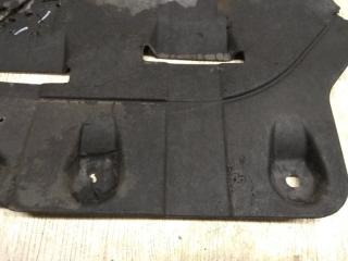 Защита двигателя SONATA LF 2014- 2014 LF 2.4 G4KJ