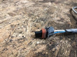 Датчик ABS задний левый NISSAN SENTRA B17 12-21 Седан 1.8