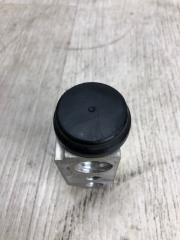 Клапан кондиционера FORTE/CERATO TD 08-13 2013 TD 2.0 G4KD