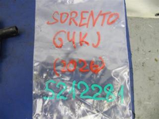 Форсунка топливная SORENTO XM 09-14 2012 Внедорожник 2.4