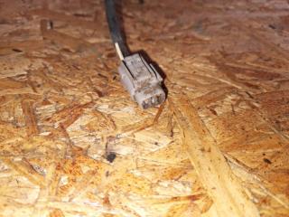 Датчик ABS передний левый CAMRY 30 02-06 2002 Седан 3.0 1MZFE